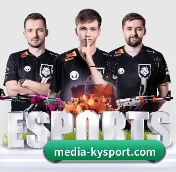 media-kysport.com APP 界面